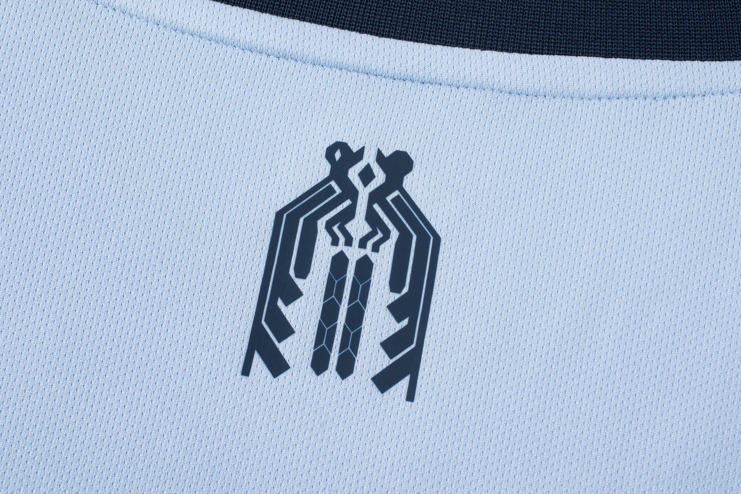 Camisa Entreno Celeste 25/26